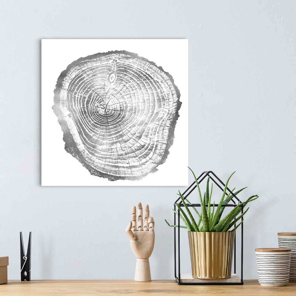A bohemian room featuring Square decor with tree stump rings in silver and white.