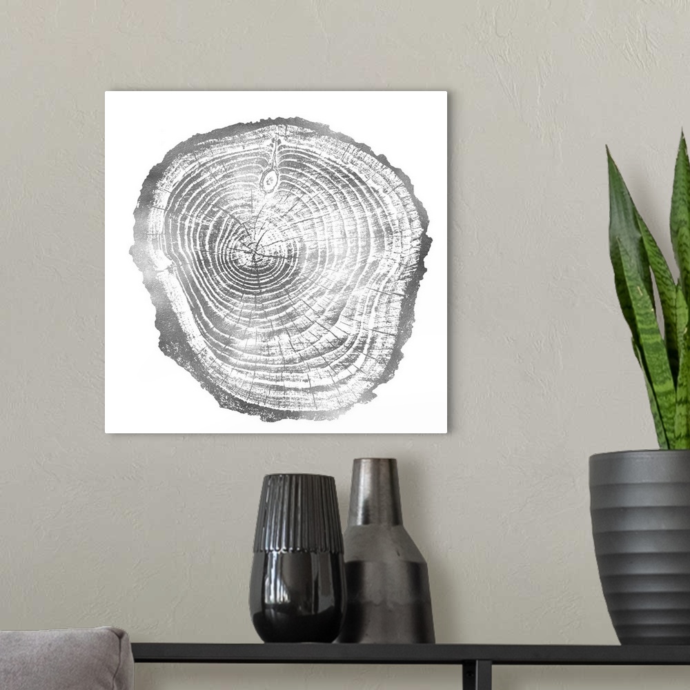 A modern room featuring Square decor with tree stump rings in silver and white.