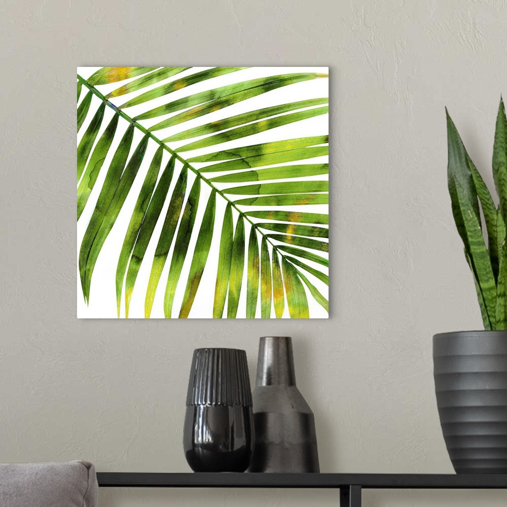 A modern room featuring Square decor with a green and yellow silhouette of a palm leaf on a solid white background.