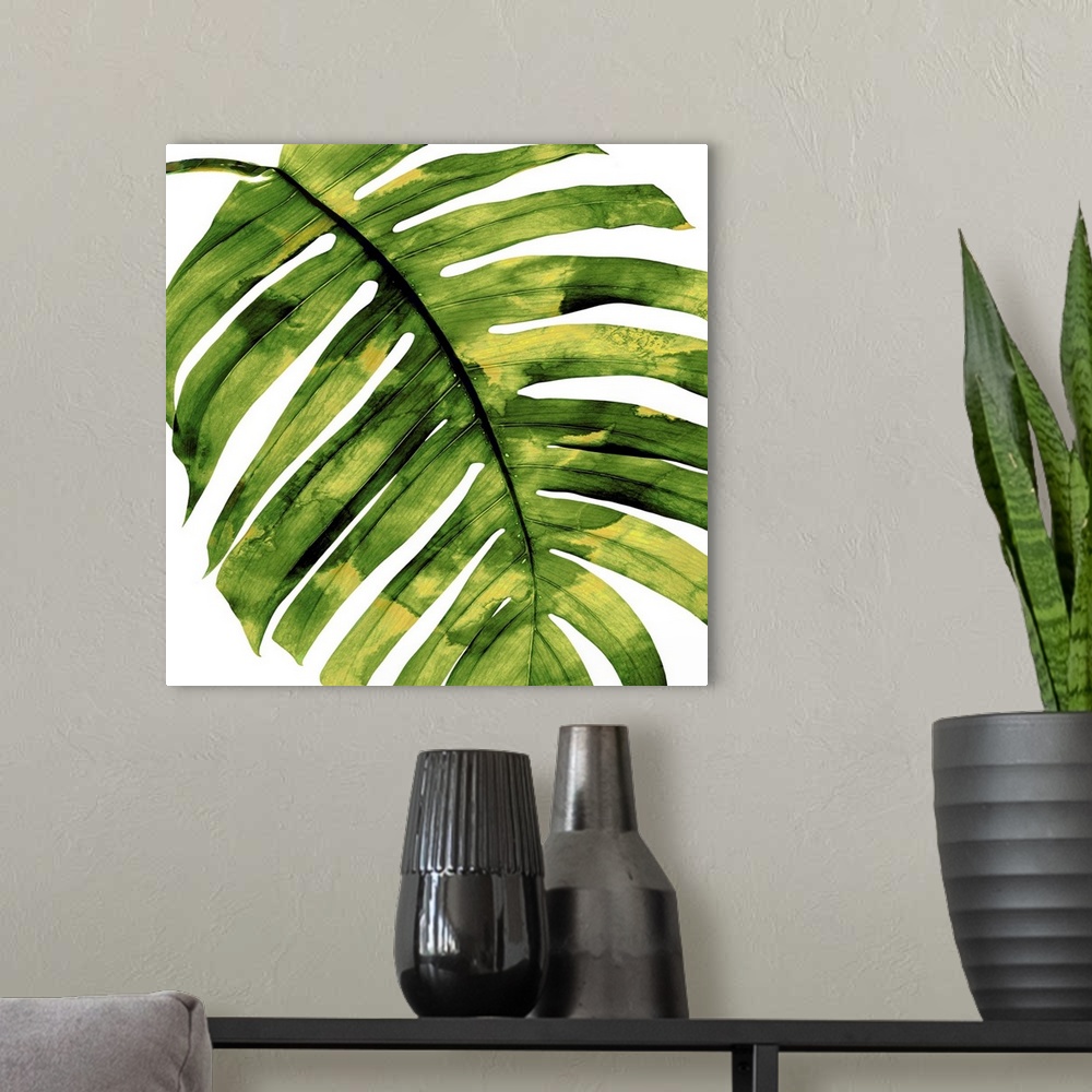 A modern room featuring Square decor with a green and yellow silhouette of a palm leaf on a solid white background.