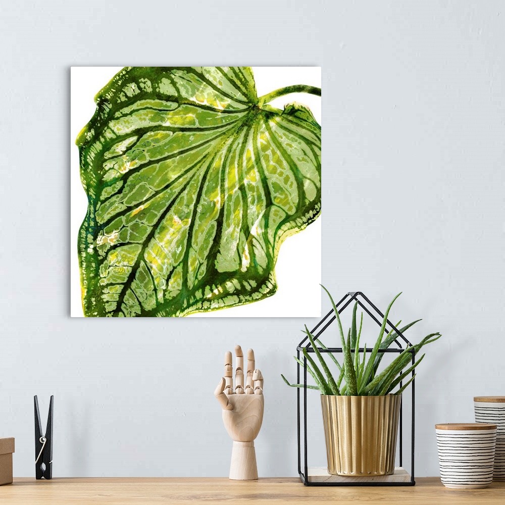 A bohemian room featuring Square decor with a green and yellow silhouette of a palm leaf on a solid white background.