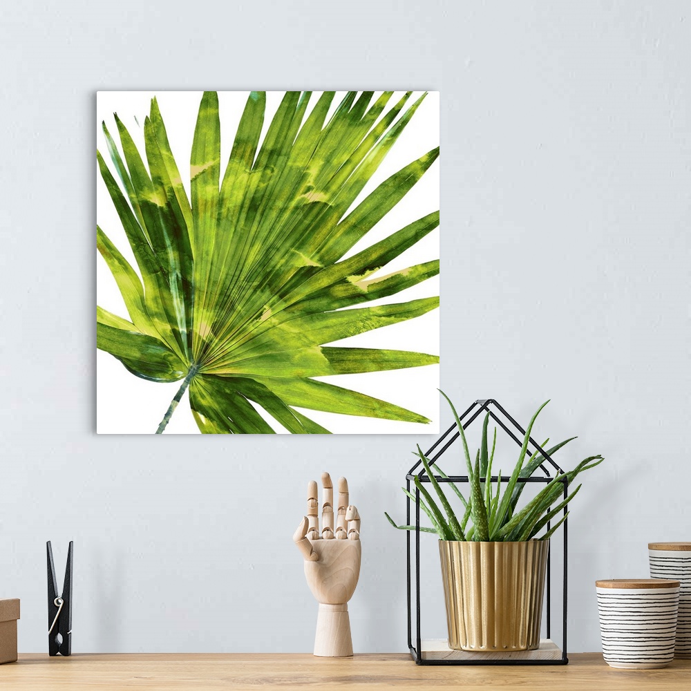 A bohemian room featuring Square decor with a green and yellow silhouette of a palm leaf on a solid white background.