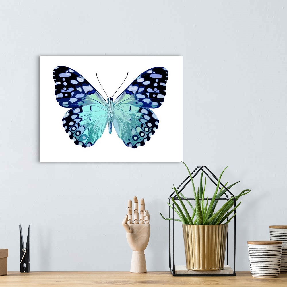A bohemian room featuring Illustration of a butterfly in shades of blue on a white background.