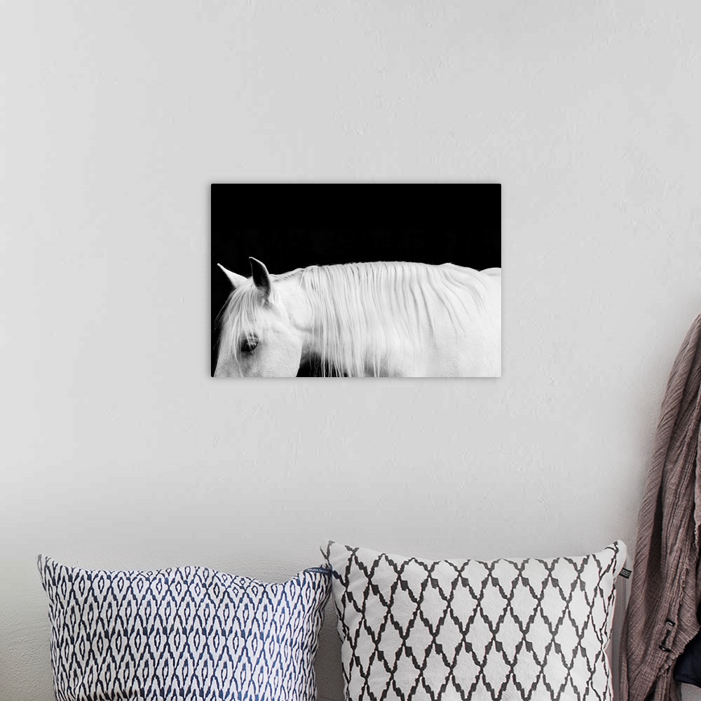 A bohemian room featuring Black and white photograph of a white stallion with a flowing mane against a black background.
