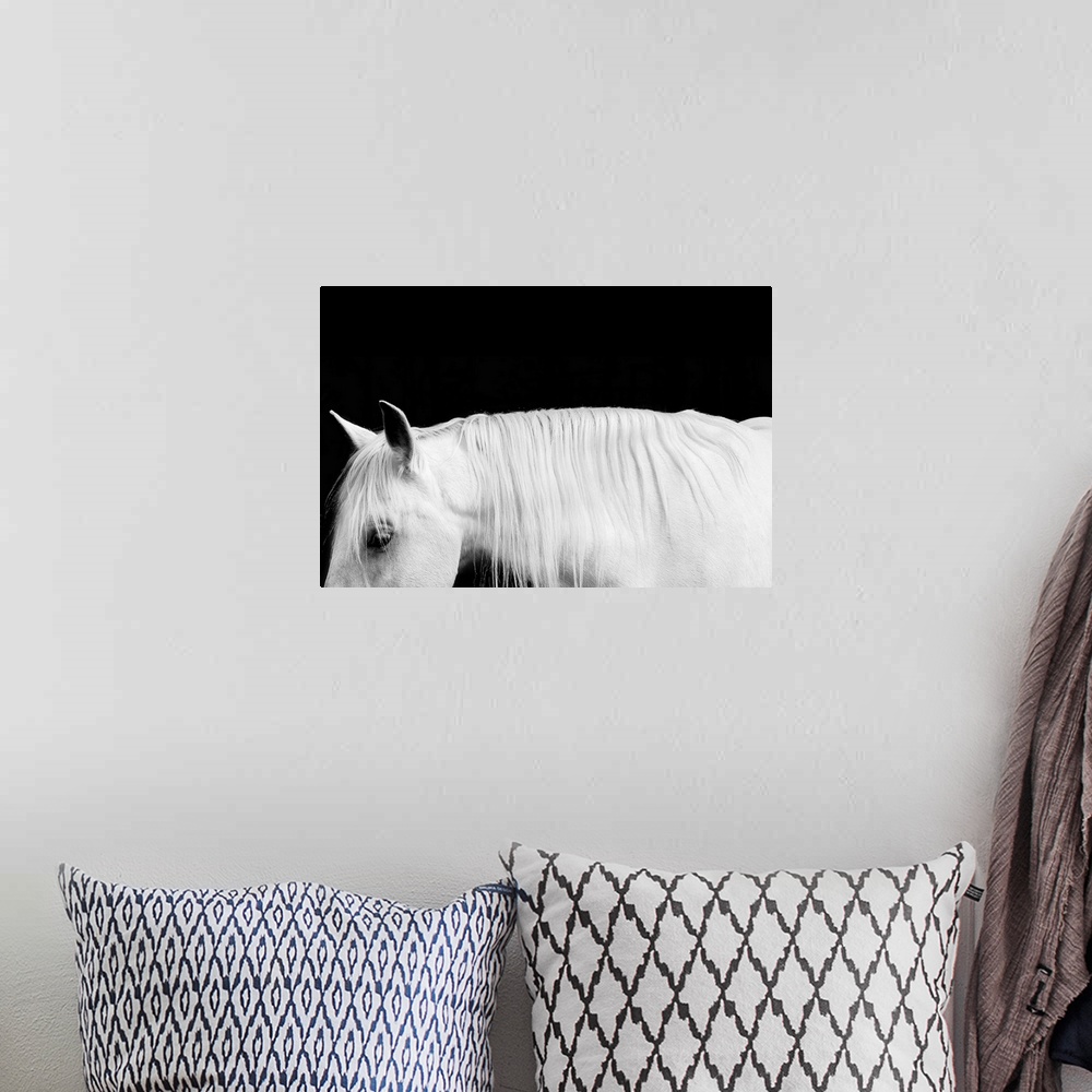 A bohemian room featuring Black and white photograph of a white stallion with a flowing mane against a black background.