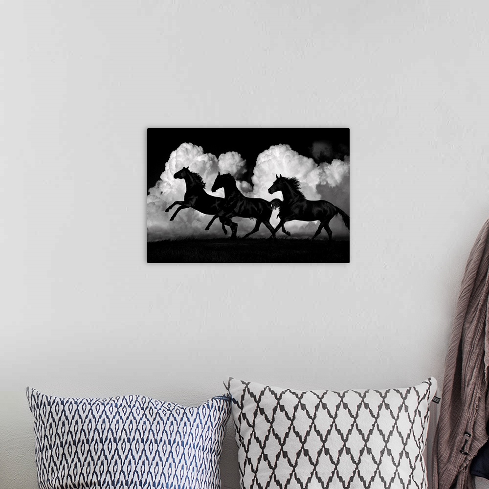 A bohemian room featuring Photo of black horses galloping on a windy day against white puffy clouds.
