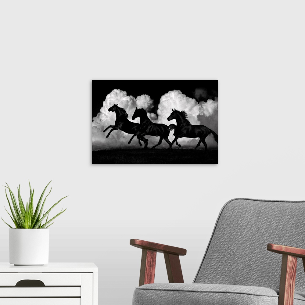 A modern room featuring Photo of black horses galloping on a windy day against white puffy clouds.