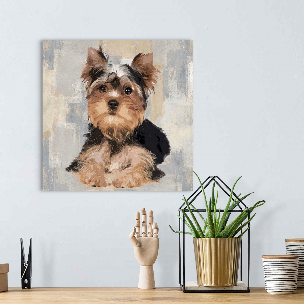 A bohemian room featuring Square decor with a portrait of a Yorkshire Terrier on a layered gray, blue, and tan background.