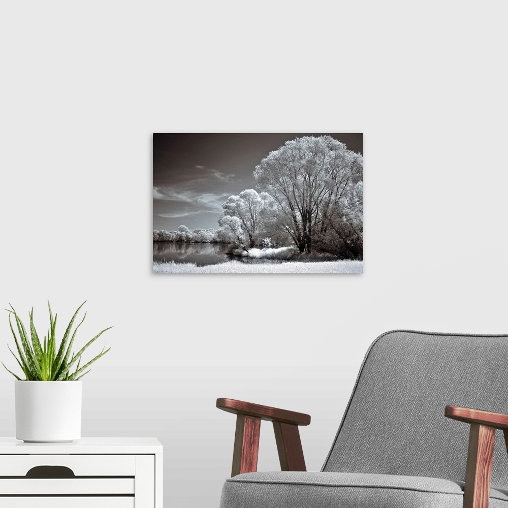 A modern room featuring An infrared photograph of a tranquil landscape of a lake surrounded by large trees.