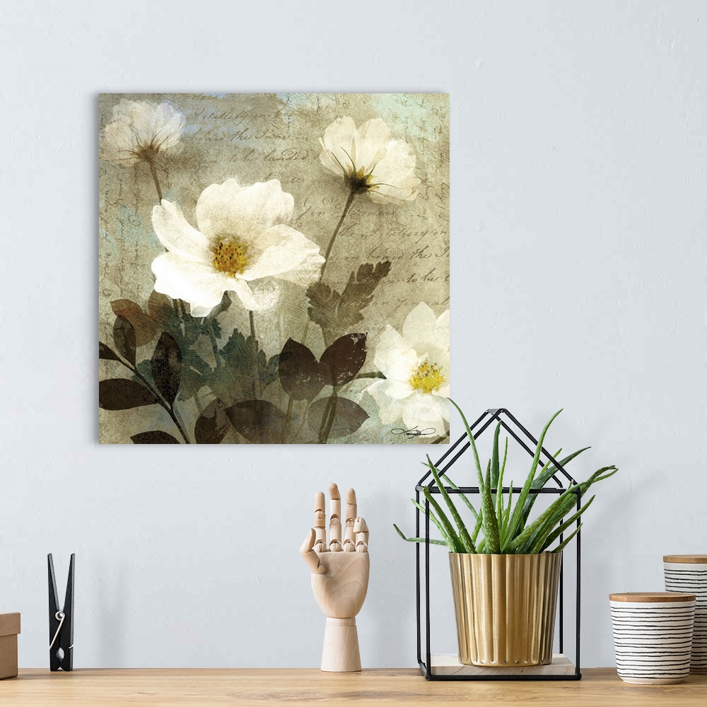 A bohemian room featuring Anemone I
