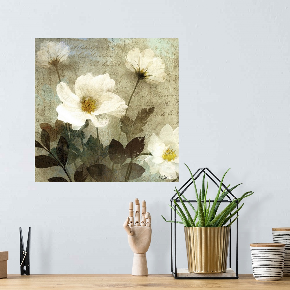 A bohemian room featuring Anemone I