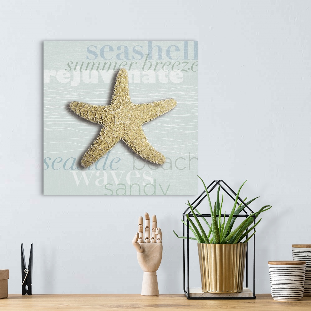 A bohemian room featuring Decorative artwork of a starfish against a light blue background with beach theme words.