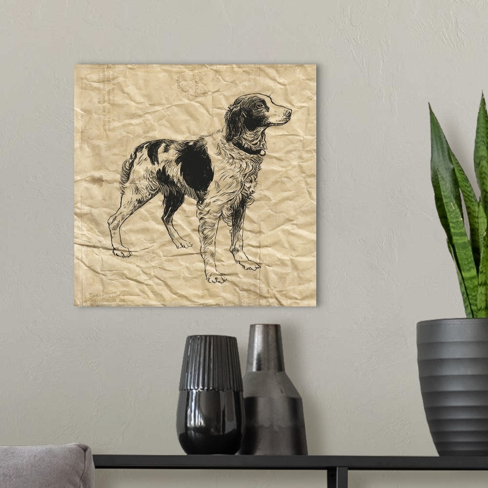 A modern room featuring Brittany Spaniel dog on crinkled paper.