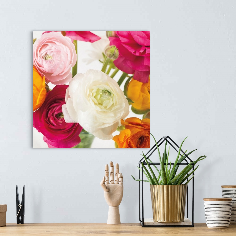 A bohemian room featuring Square photo of vibrant colored roses in shades of pink, yellow and white.