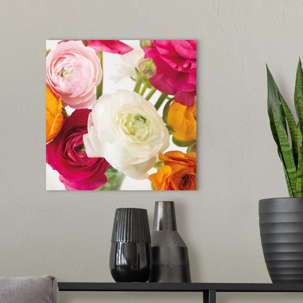 A modern room featuring Square photo of vibrant colored roses in shades of pink, yellow and white.