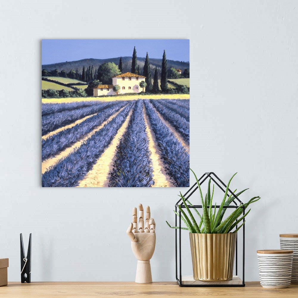 A bohemian room featuring Contemporary artwork of lavender fields in the countryside.
