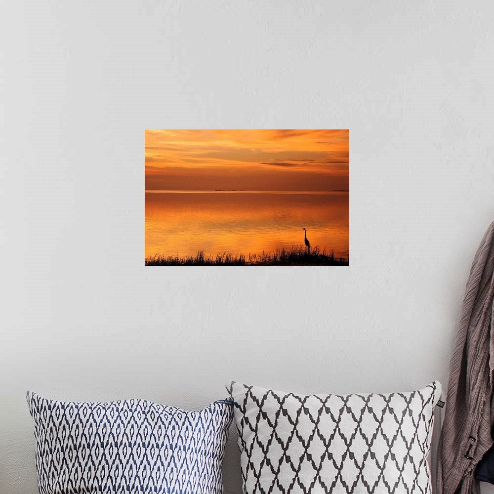 A bohemian room featuring A beautiful photograph of a bird standing next to the water during a warm, red sunset.