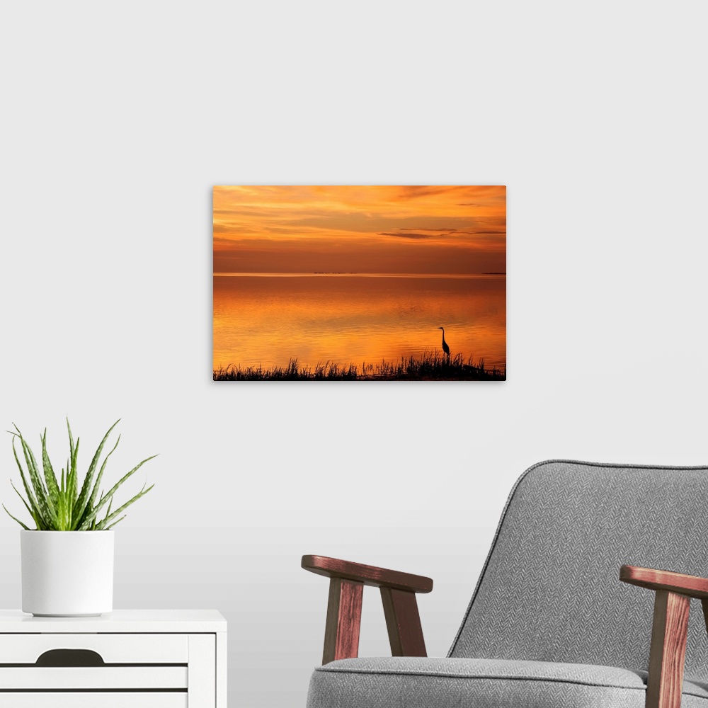 A modern room featuring A beautiful photograph of a bird standing next to the water during a warm, red sunset.