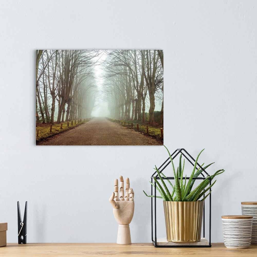 A bohemian room featuring A tree lined country road covered in mist during a early morning.