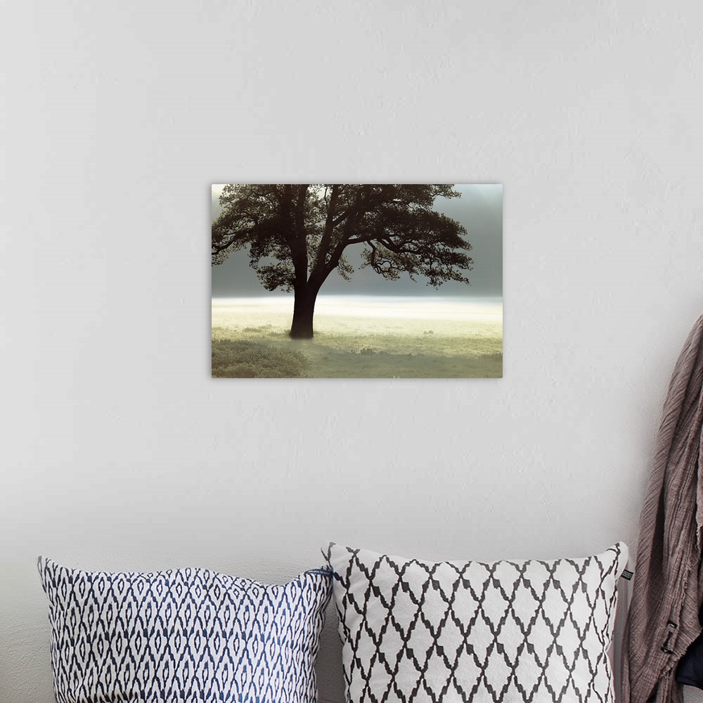 A bohemian room featuring Photograph of a single tree in a mist covered field.