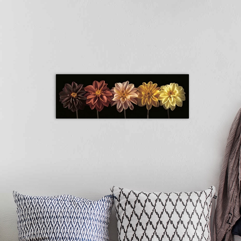 A bohemian room featuring A photo of a row of flowers, from darker to brighter colors.