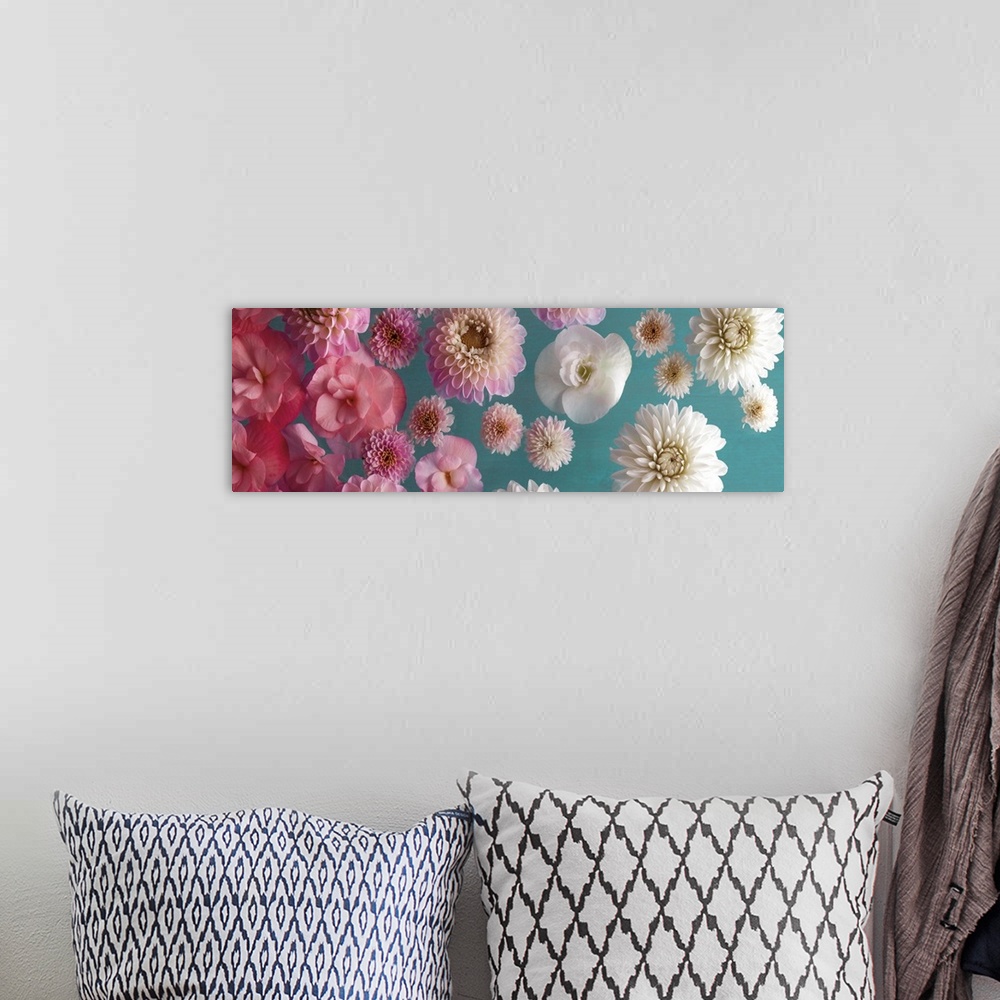 A bohemian room featuring Panoramic image of a group of flowers, fading from pink to white, on a teal backdrop.