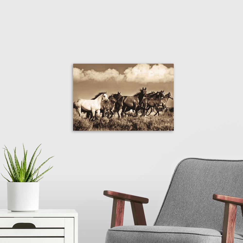 A modern room featuring Black, white and sepia horses.