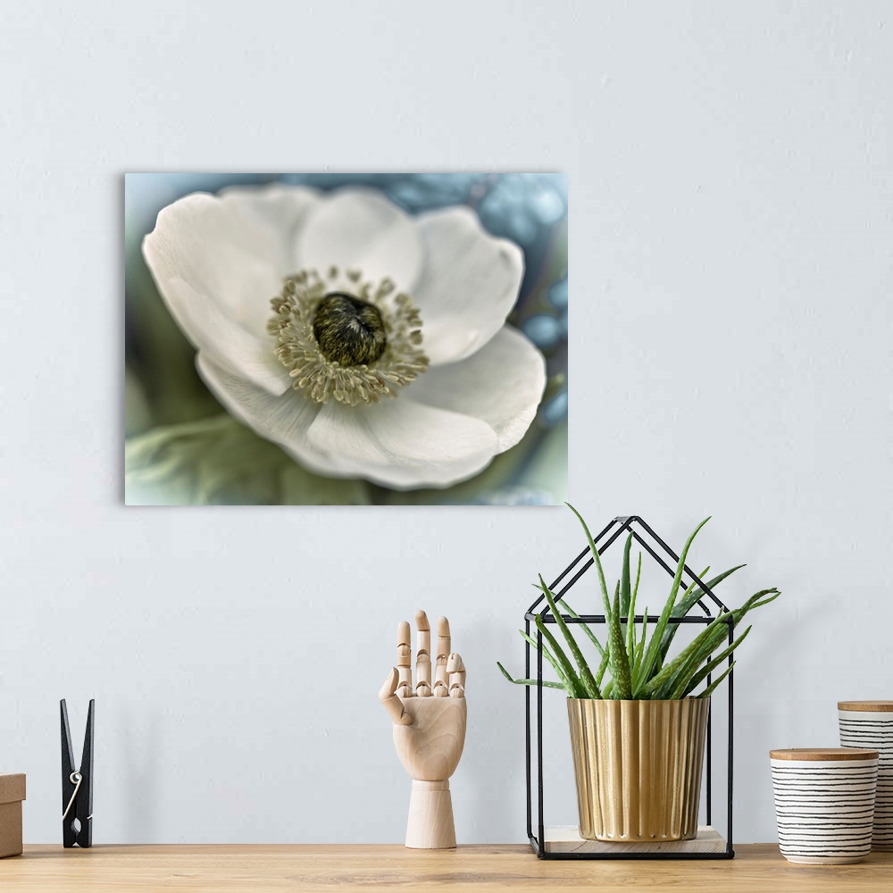 A bohemian room featuring Image of a white flower with a soft focus vignette on the edges.