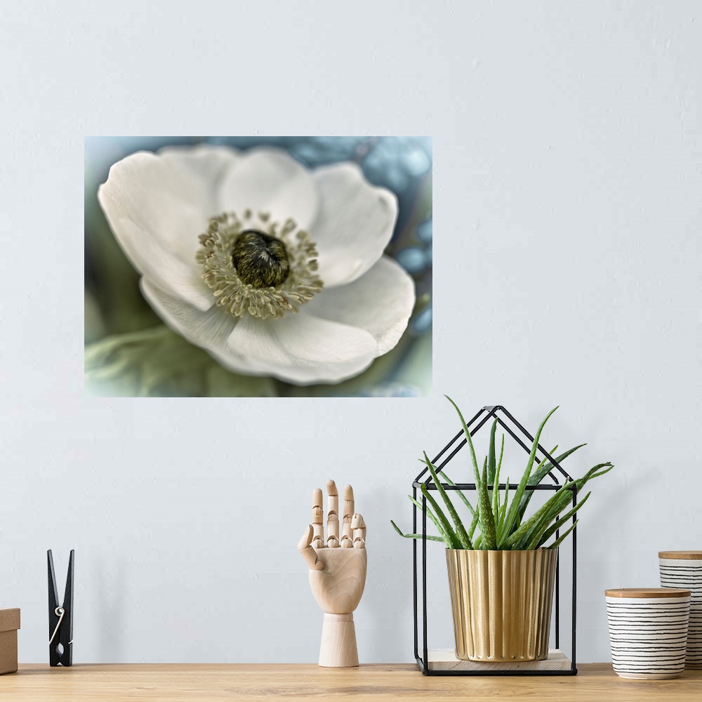 A bohemian room featuring Image of a white flower with a soft focus vignette on the edges.