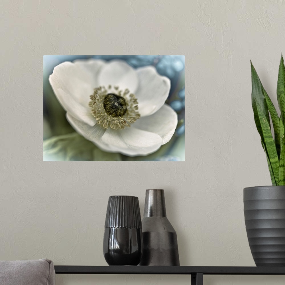 A modern room featuring Image of a white flower with a soft focus vignette on the edges.
