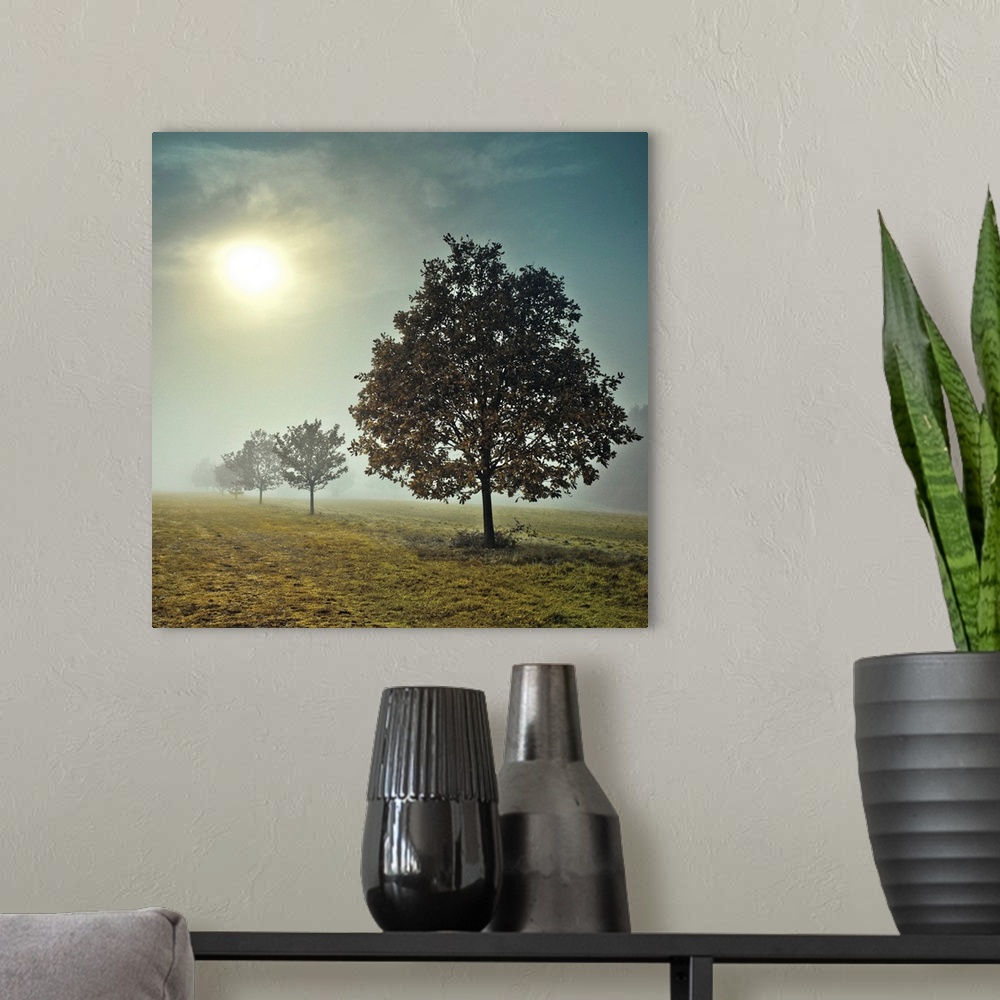 A modern room featuring A photograph of a row of trees in a field on a fogging morning.