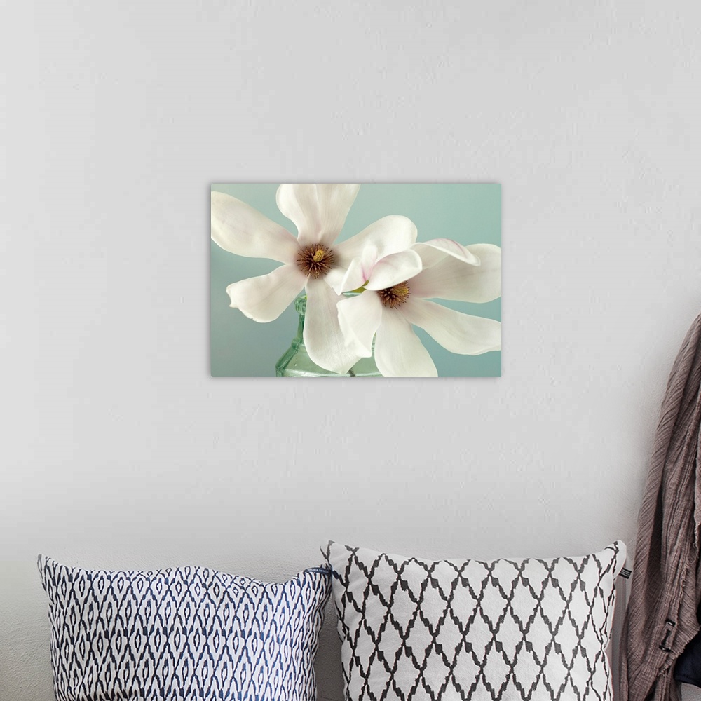 A bohemian room featuring A muted color photograph of two magnolias blooms in a glass jar.