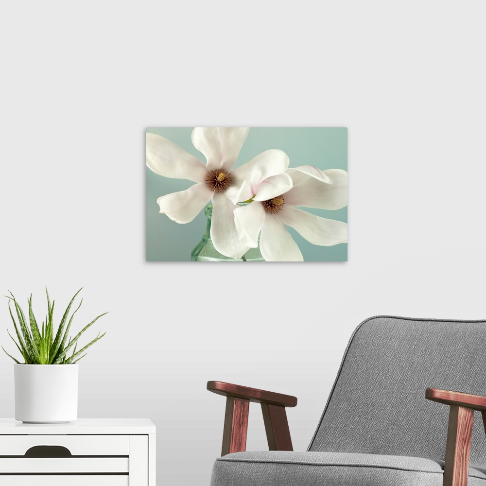 A modern room featuring A muted color photograph of two magnolias blooms in a glass jar.