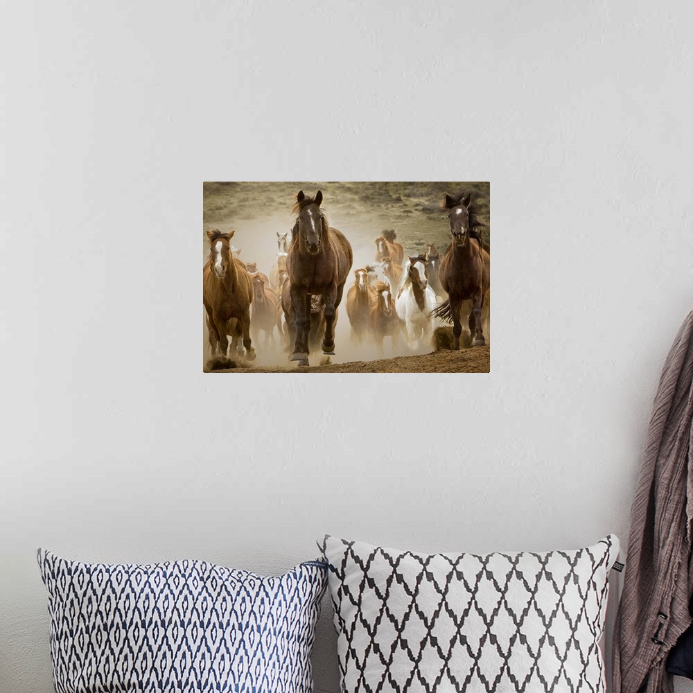 A bohemian room featuring Horses running.