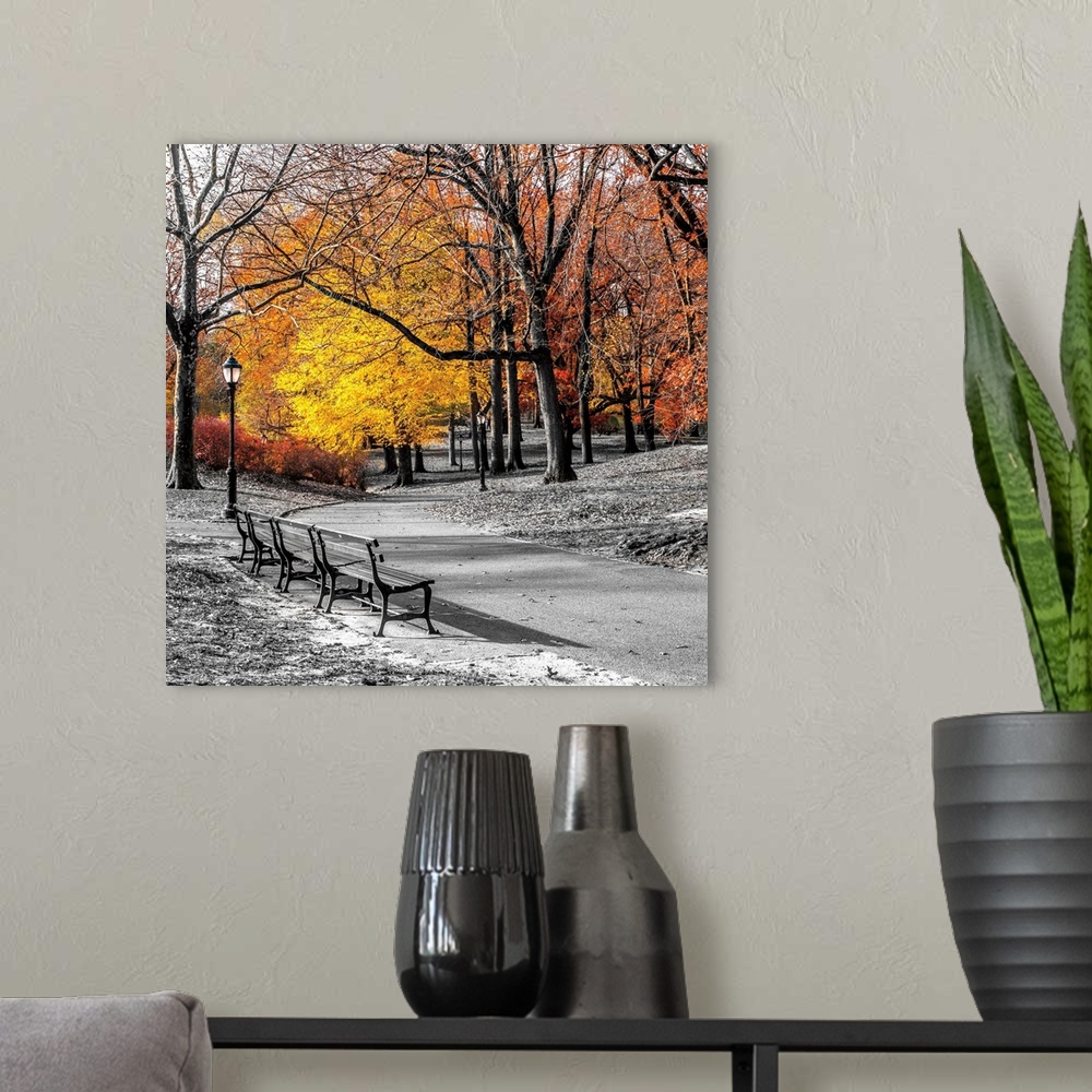 A modern room featuring A square image of a path through a wooded park where the foreground is in black and white while t...