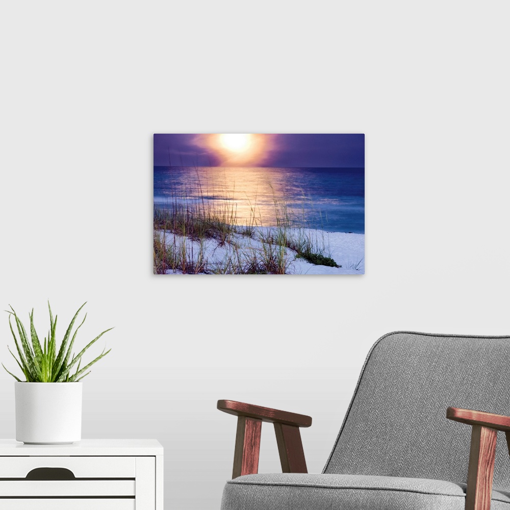 A modern room featuring Photograph of the raising moon over the ocean shore and dunes.