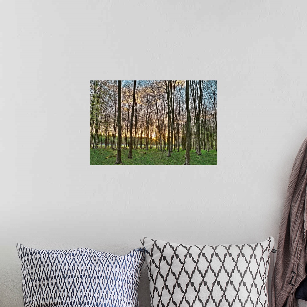 A bohemian room featuring horizontal photograph of a forest of trees with the sun setting in the distance.