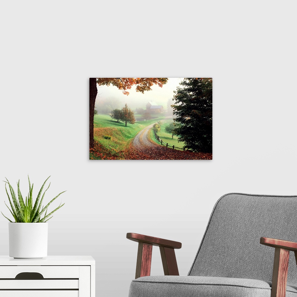 A modern room featuring A tranquil setting of a country road leading to a farm in the misty morning.