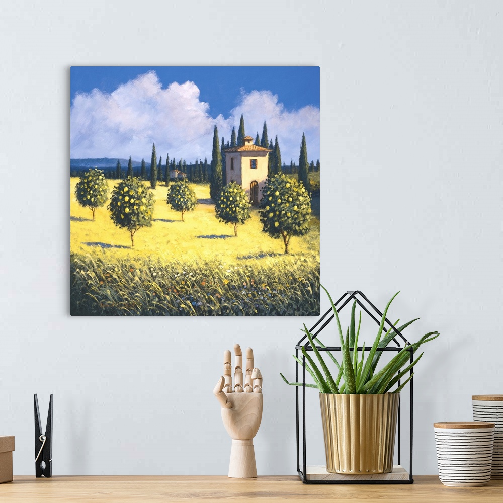 A bohemian room featuring Contemporary artwork of an orchard in Tuscany with yellow fields.
