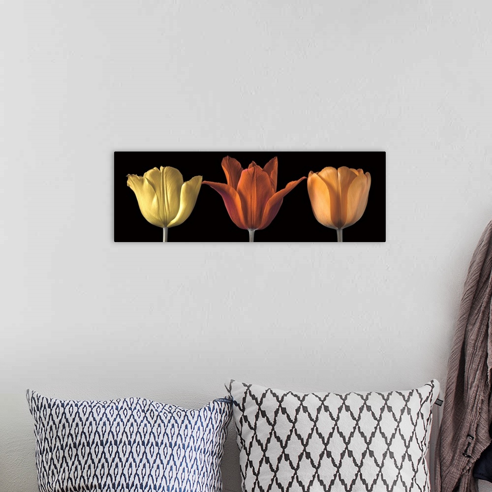 A bohemian room featuring A photo of three tulips in yellow, red and orange.