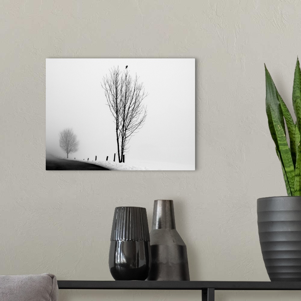 A modern room featuring A black and white photograph of a snowy country scene of a bird on top of a tree next to a road.