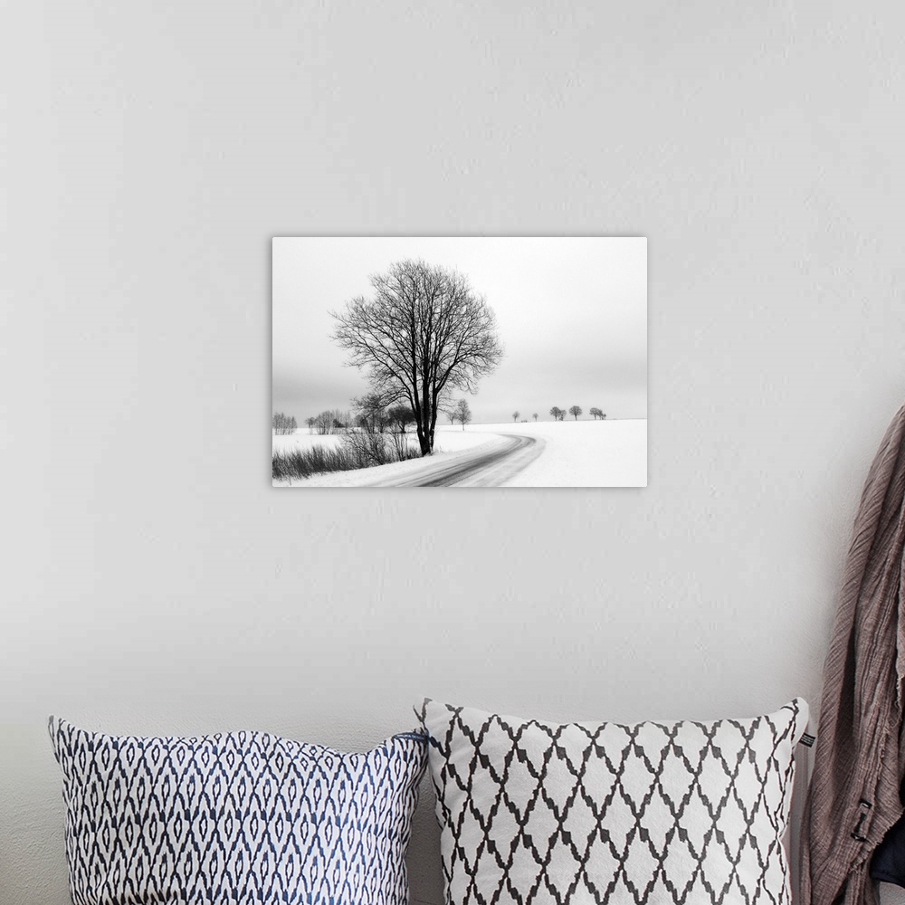 A bohemian room featuring A black and white photograph of a snowy country scene of a  tree next to a road.