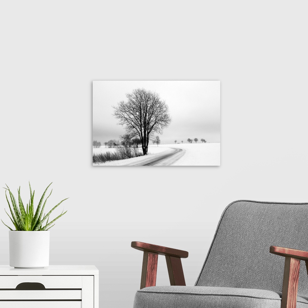 A modern room featuring A black and white photograph of a snowy country scene of a  tree next to a road.