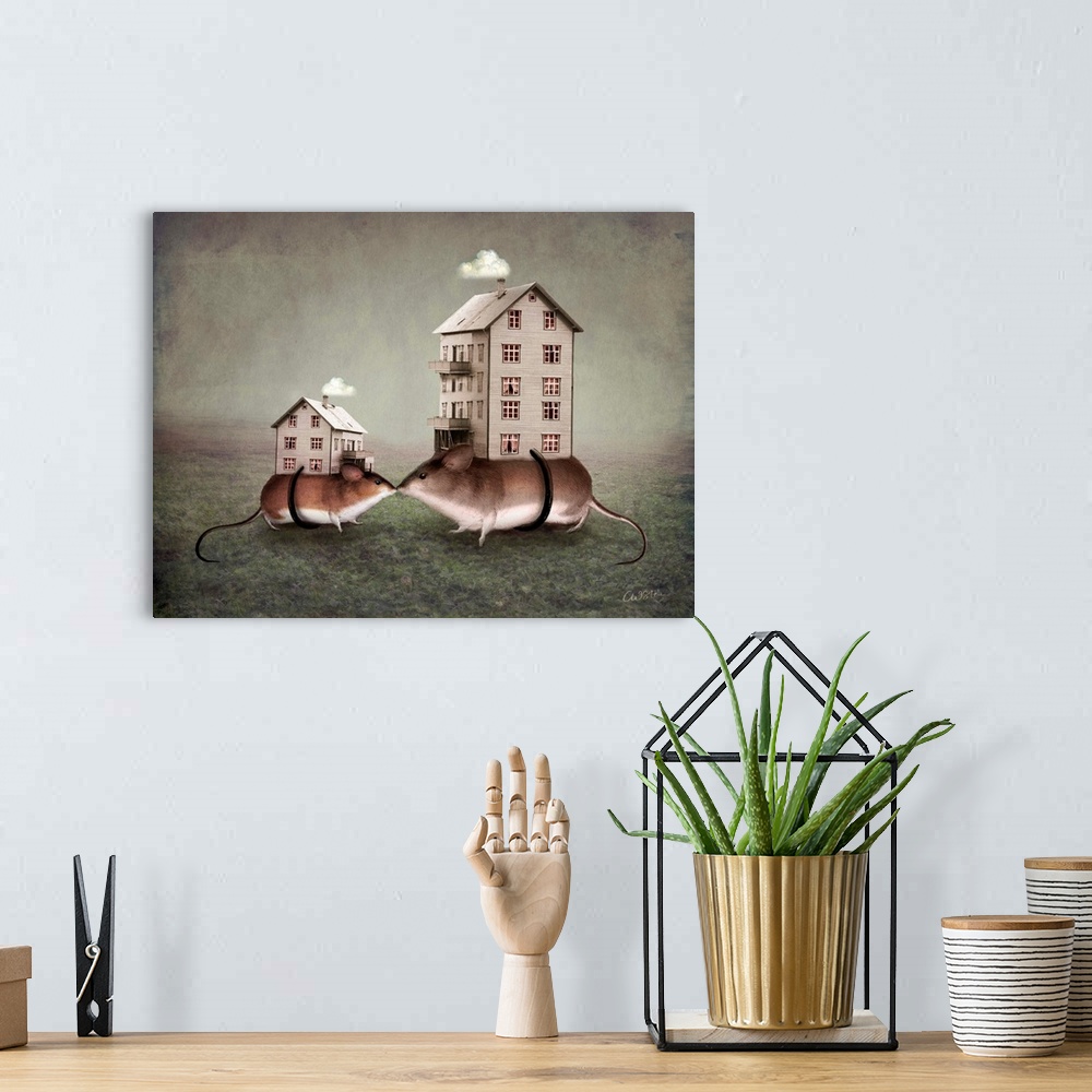 A bohemian room featuring Conceptual art of two mice with houses strapped onto their backs.