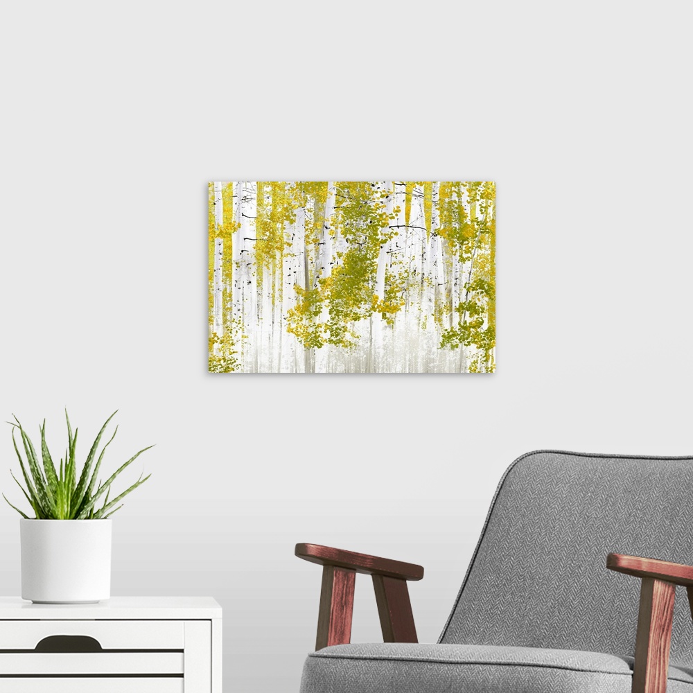 A modern room featuring Birch Trees G