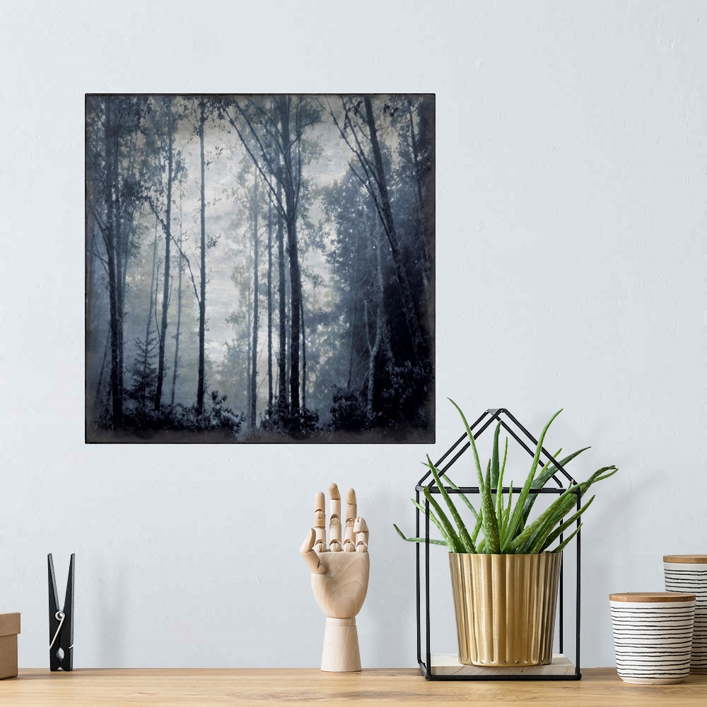A bohemian room featuring Forest Indigo