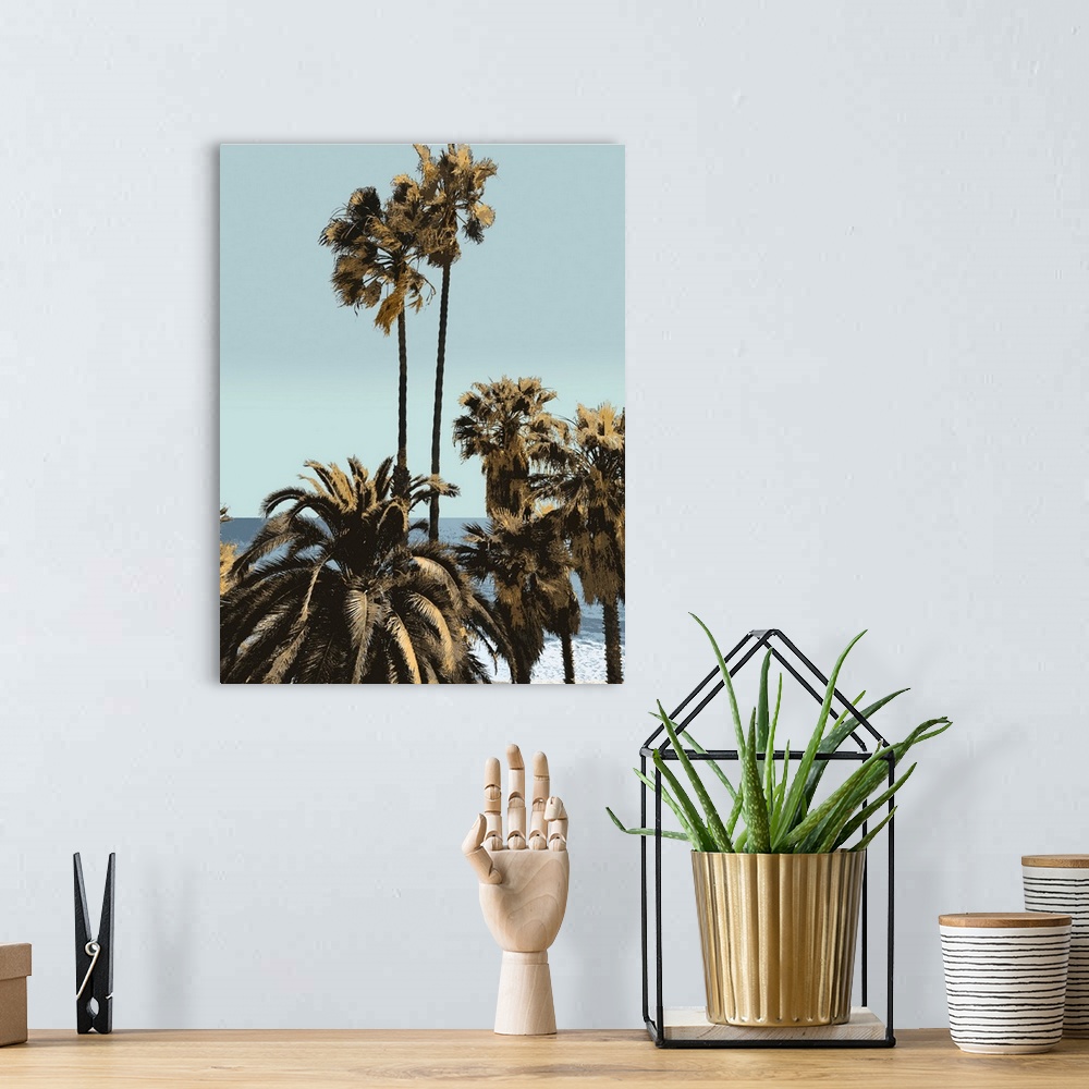 A bohemian room featuring Palms And Beach I