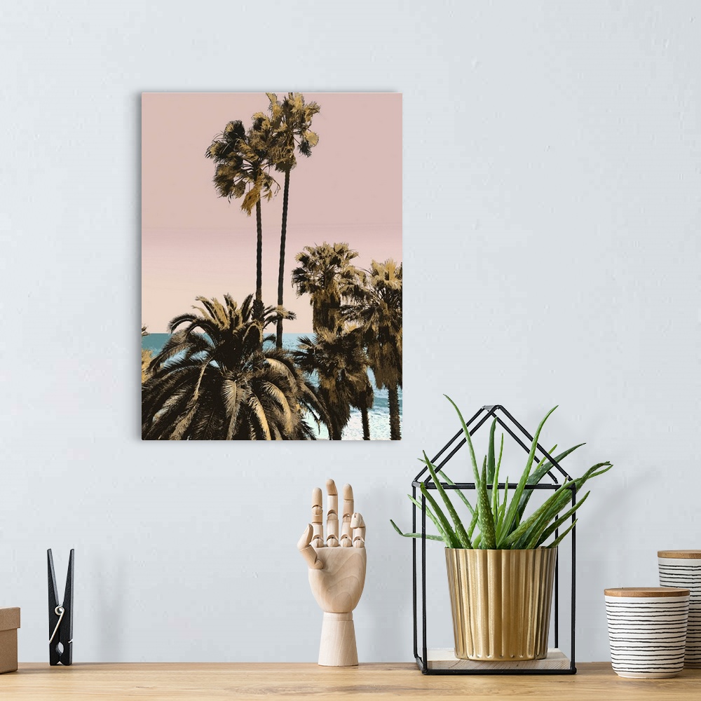 A bohemian room featuring Palms And Beach III