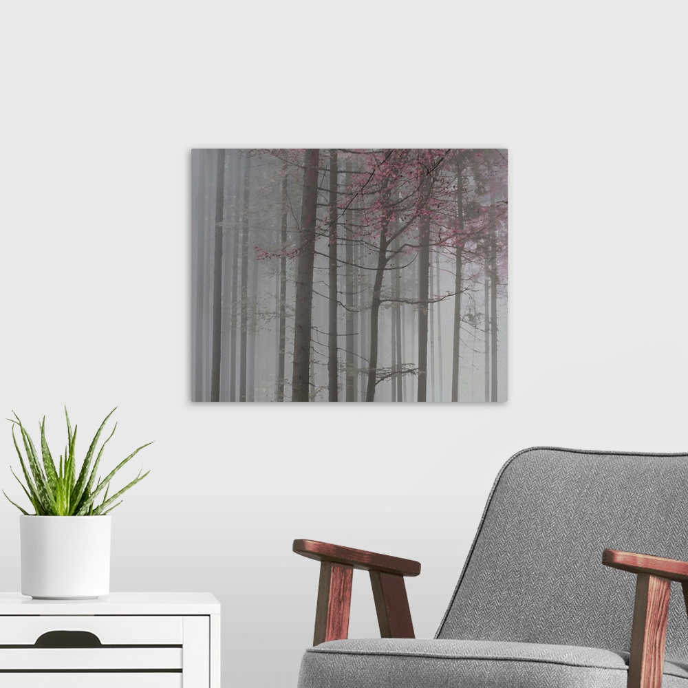 A modern room featuring Tree Path Grey Pink