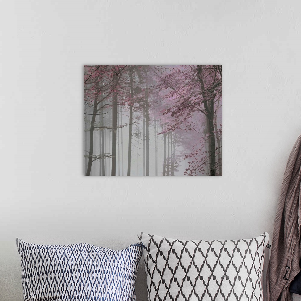 A bohemian room featuring Tree Path Pink Grey 2